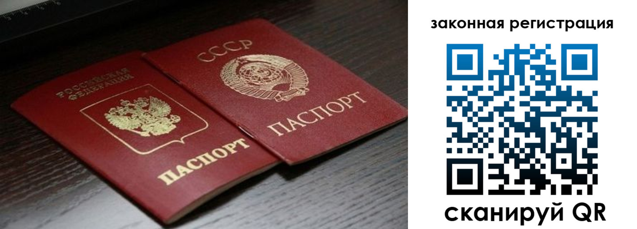 прописка поиск в Кудрово